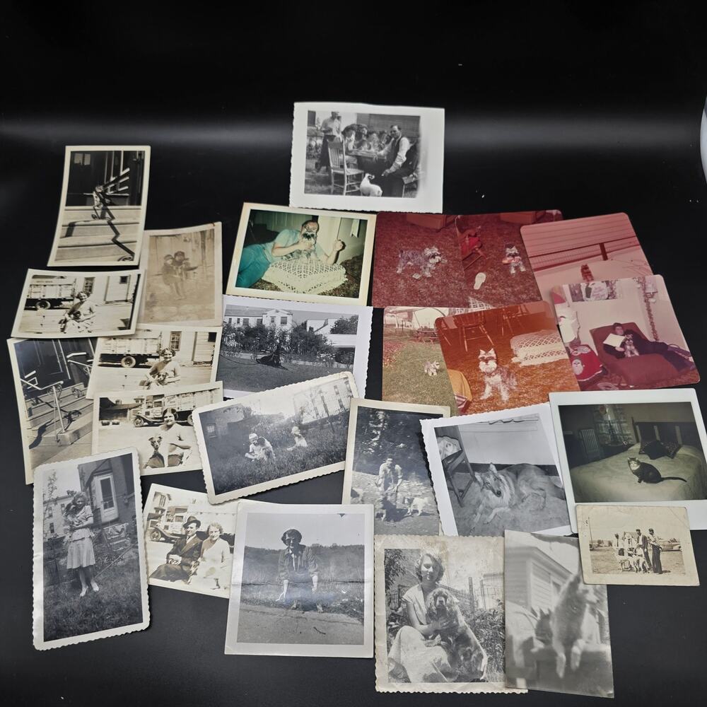 Vintage‎ Photo Lot Pets Animals People Scrapbooking Ephmera